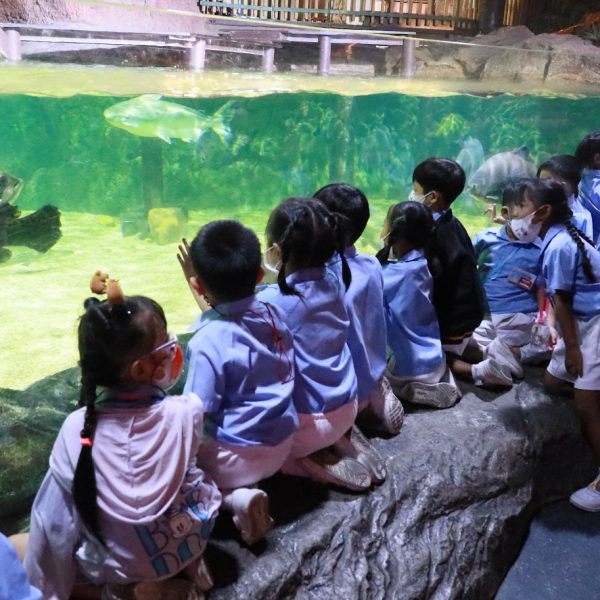 นักเรียนชั้นอนุบาลปีที่ 1-3 โรงเรียนอนุบาลวัดนางนอง เดินทางไปทัศนศึกษา ณ พิพิธภัณฑ์สัตว์น้ำ “ซีไลฟ์ &hellip;