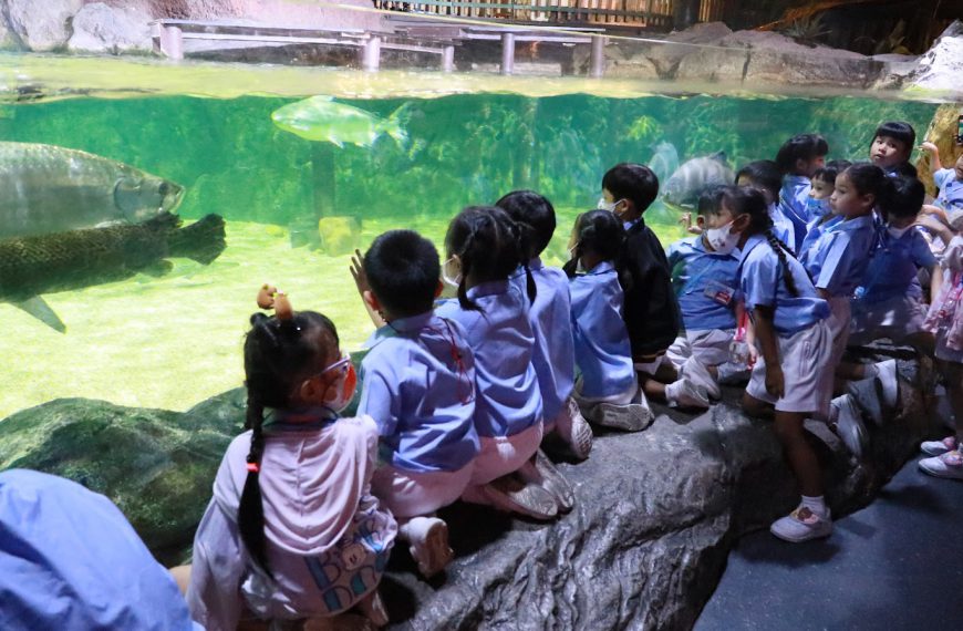 นักเรียนชั้นอนุบาลปีที่ 1-3 โรงเรียนอนุบาลวัดนางนอง เดินทางไปทัศนศึกษา ณ พิพิธภัณฑ์สัตว์น้ำ “ซีไลฟ์ &hellip;