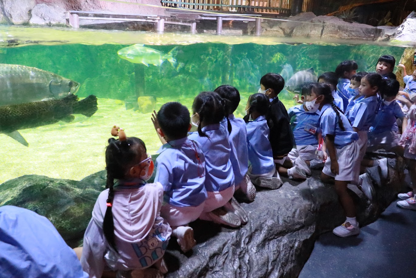 นักเรียนชั้นอนุบาลปีที่ 1-3 โรงเรียนอนุบาลวัดนางนอง เดินทางไปทัศนศึกษา ณ พิพิธภัณฑ์สัตว์น้ำ “ซีไลฟ์ &hellip;